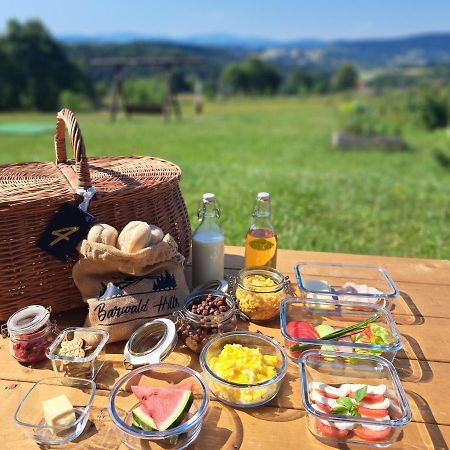 Barwald Hills - Piekny Widok Na Babia Gore I Beskidy Βαντοβίτσε Εξωτερικό φωτογραφία